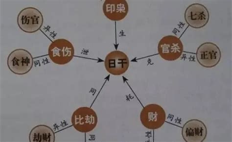 八字 十神|八字里的十神怎样解读 (怎么看自己的十神格局)